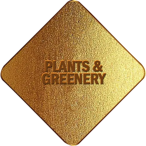 plants & greenery