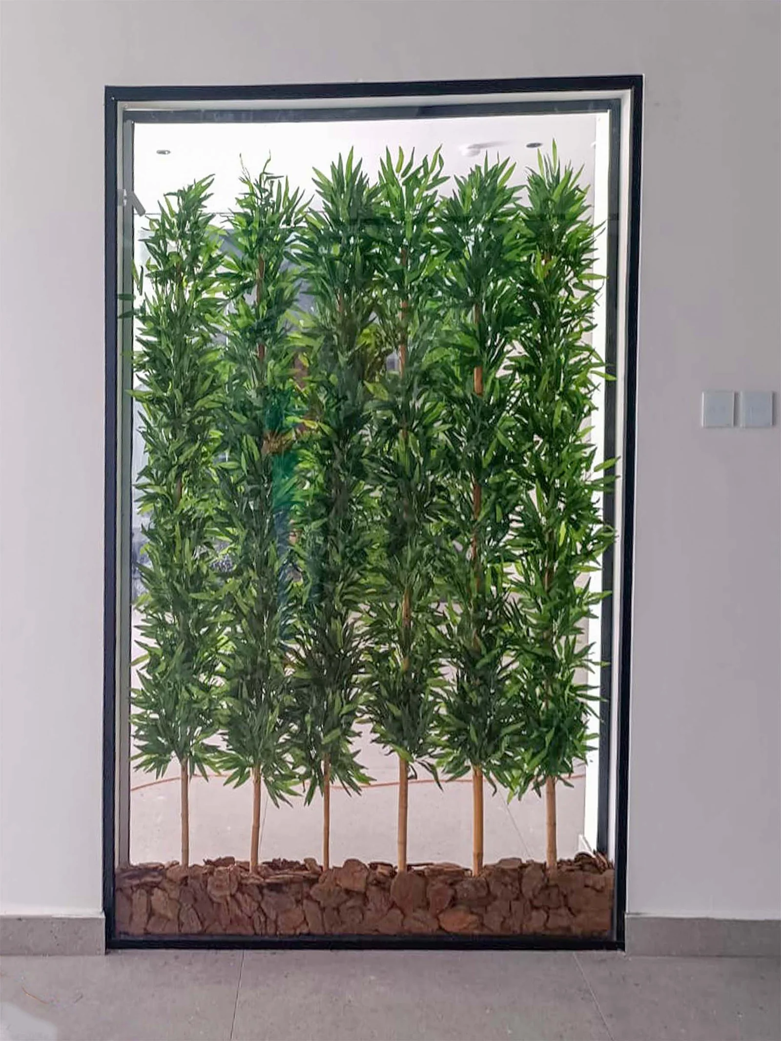 Experience the charm of the Bambu Plant in your space. Ideal for any decor, this exquisite plant will brighten up your living area. Shop now!