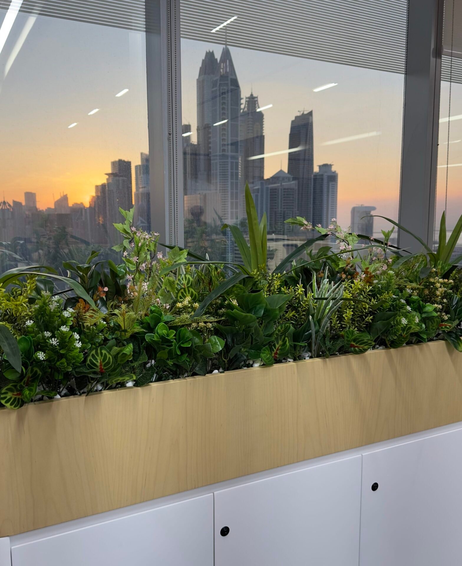 plants - Decorative Items