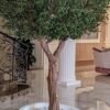 Elevate your interior with our gorgeous Artificial Olive Tree. Enjoy the charm of nature in your home or workspace all year round!