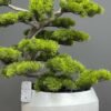 9356(2) Artificial Bonsai Tree