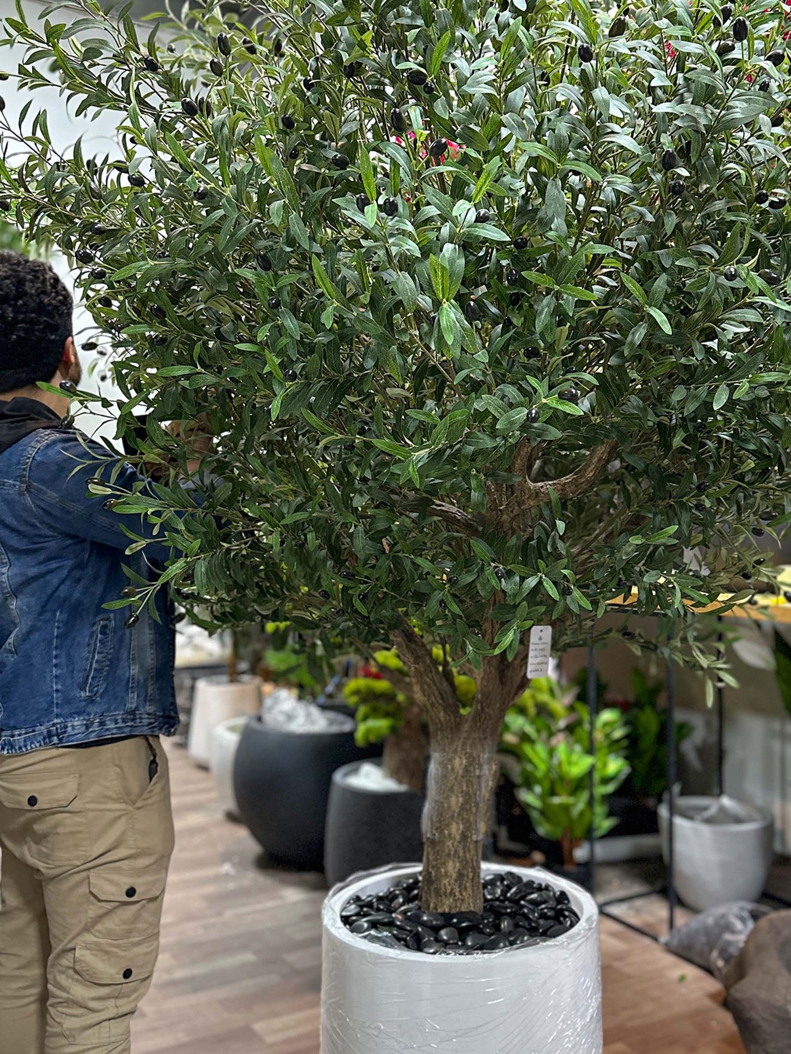 Bring life to any environment with our high-quality Artificial Olive Tree! A stylish solution that does not require care or seasonal changes.