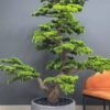Elevate your space with this stunning Artificial Bonsai Tree! Its realistic design and stylish pot will bring everlasting beauty to any setting.