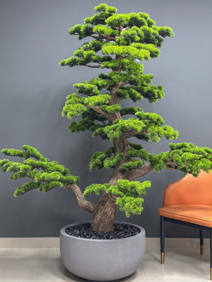Bonsai Tree 9558