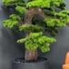 Elevate your space with this stunning Artificial Bonsai Tree! Its realistic design and stylish pot will bring everlasting beauty to any setting.