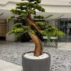 Transform your space with the stunning Artificial Bonsai Tree. Standing tall at 175cm, this elegant decor requires no maintenance! 🌳