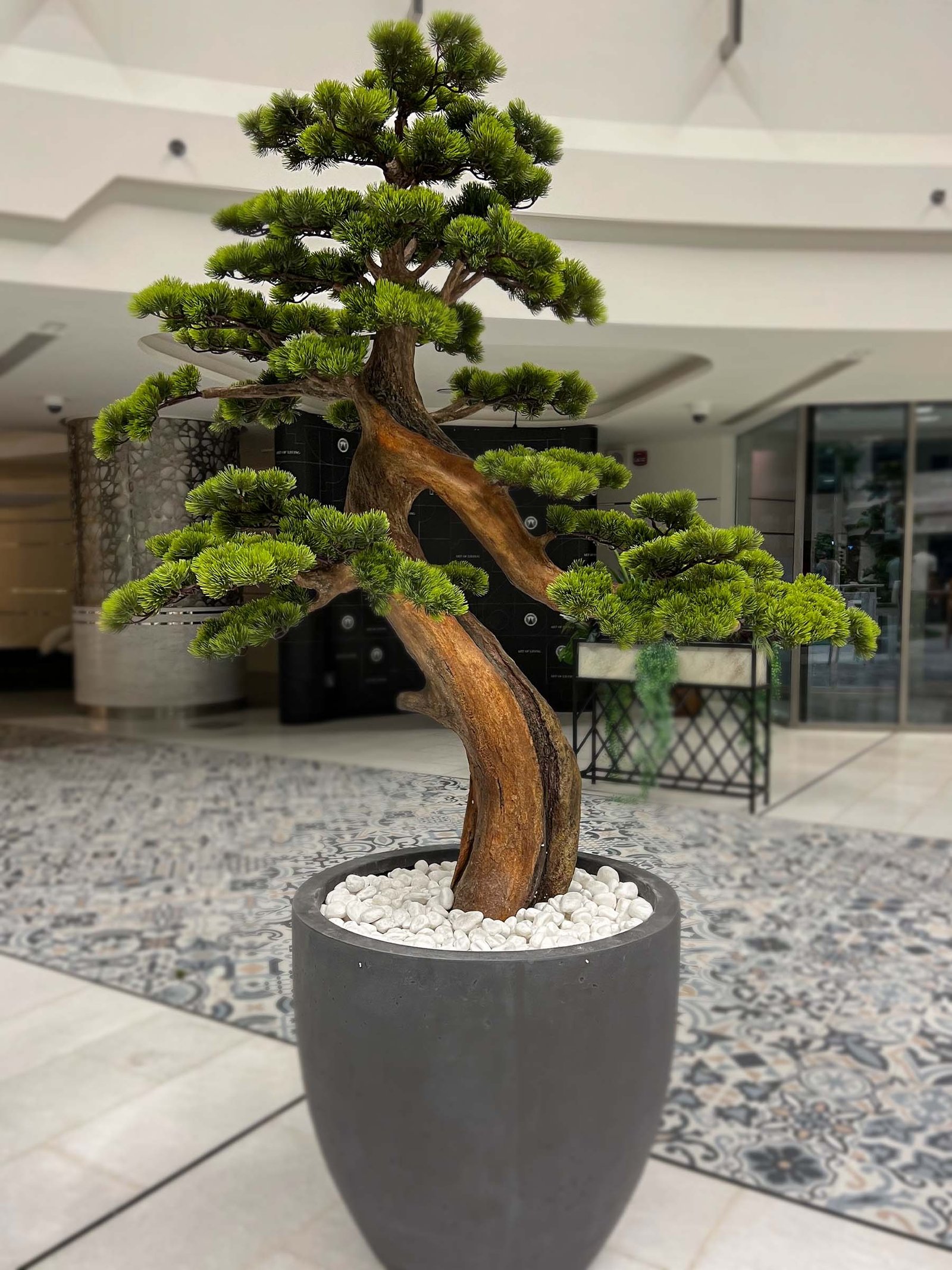 Transform your space with the stunning Artificial Bonsai Tree. Standing tall at 175cm, this elegant decor requires no maintenance! 🌳