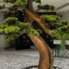 Transform your space with the stunning Artificial Bonsai Tree. Standing tall at 175cm, this elegant decor requires no maintenance! 🌳