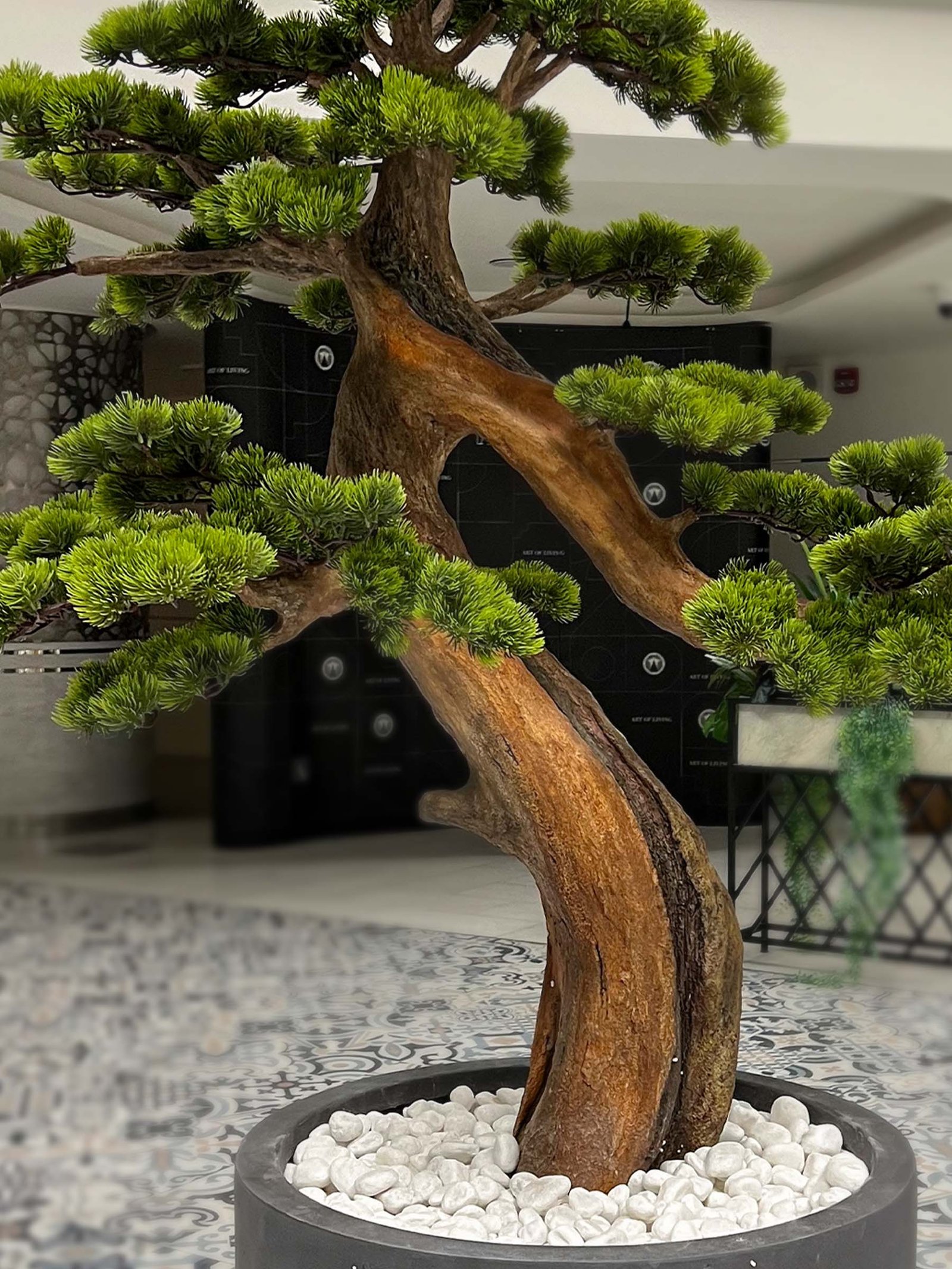Transform your space with the stunning Artificial Bonsai Tree. Standing tall at 175cm, this elegant decor requires no maintenance! 🌳