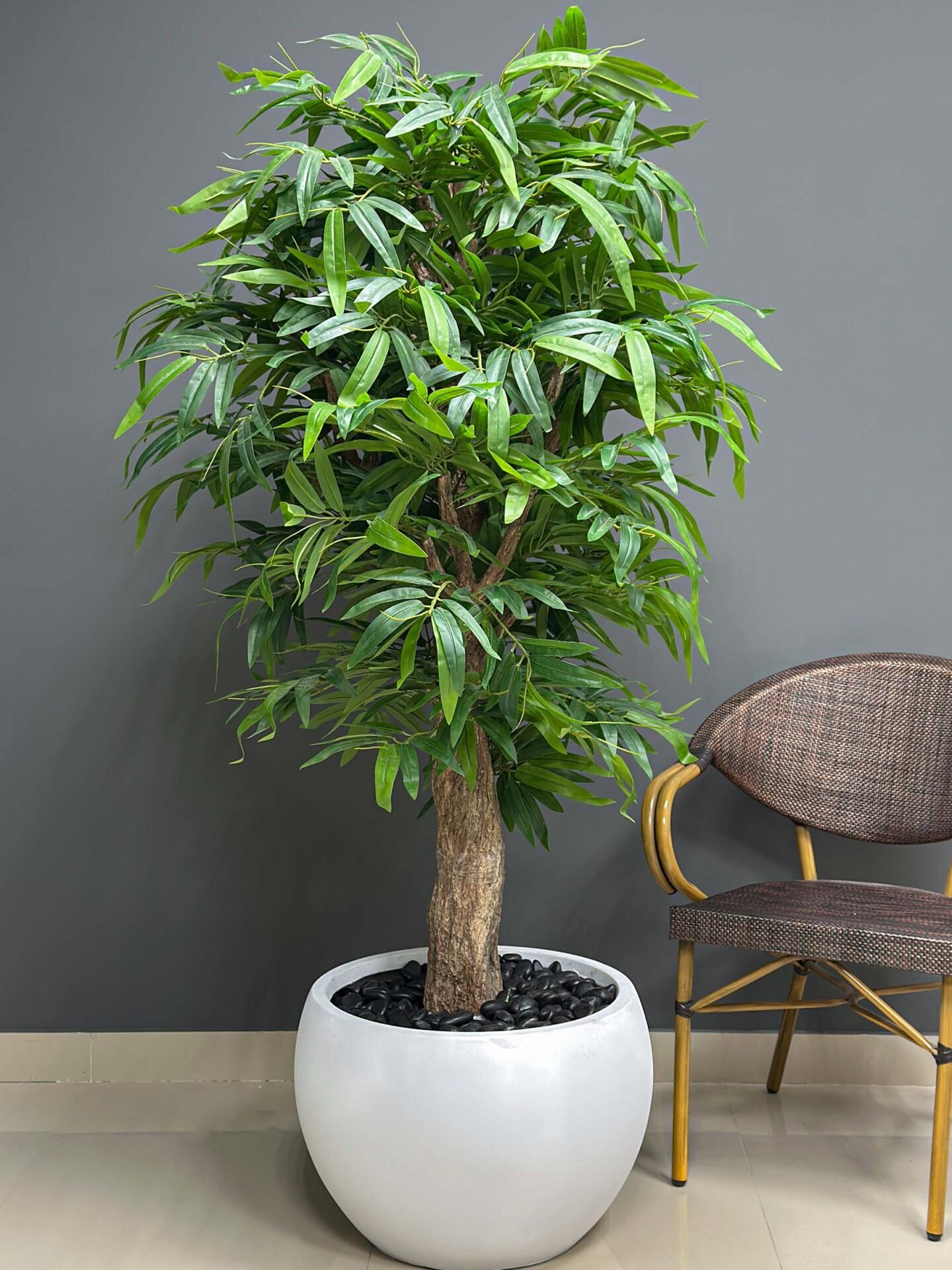 Elevate your home or office décor with the lifelike Bamboo Tree. Its 170cm height and lush spread create a refreshing ambiance. Buy today! 🌿