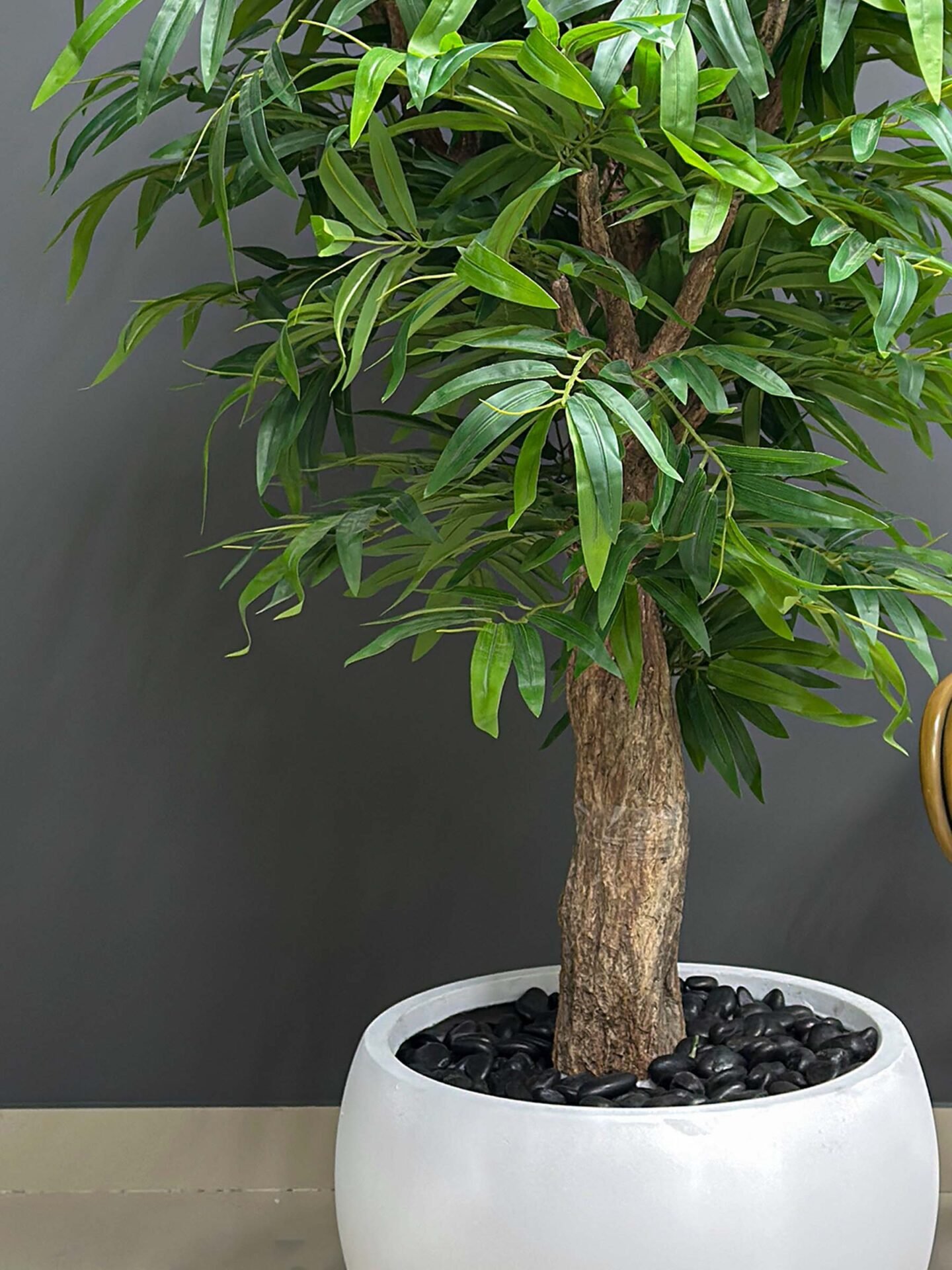 9619(2) Elevate your home or office décor with the lifelike Bamboo Tree. Its 170cm height and lush spread create a refreshing ambiance. Buy today! 🌿
