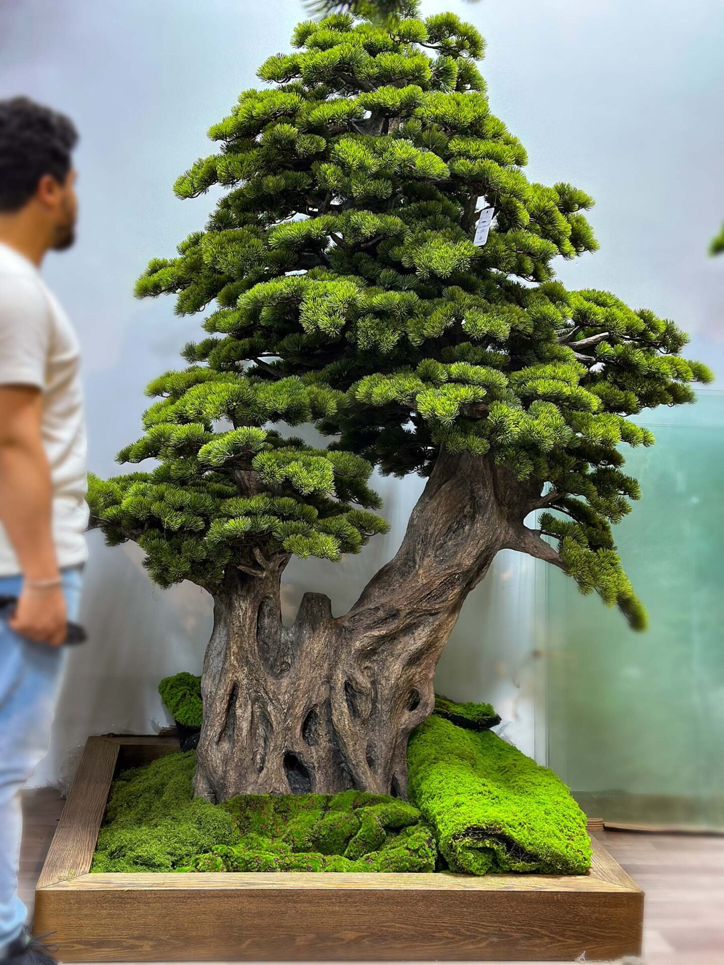 Elevate your space with this stunning Artificial Bonsai Tree! Its realistic design and stylish pot will bring everlasting beauty to any setting.