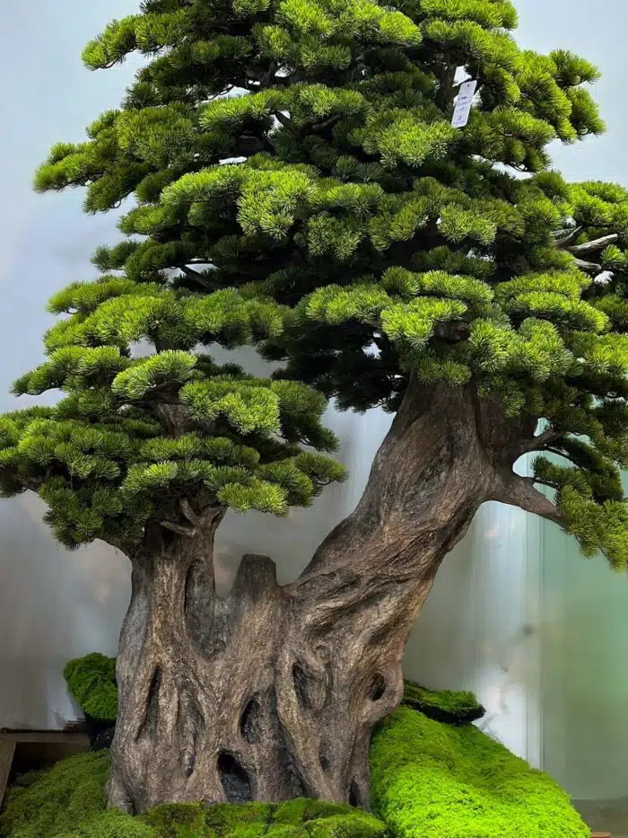 Artificial Bonsai Tree 9650
