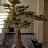 9660(1) Elevate your space with this stunning Artificial Bonsai Tree! Its realistic design and stylish pot will bring everlasting beauty to any setting.