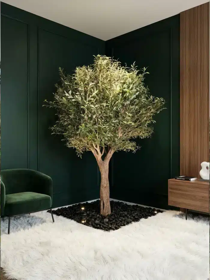 Olive Tree 9268