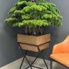 Artificial Bonsai Tree
