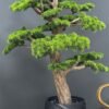 9667(1)jpg Elevate your space with this stunning Artificial Bonsai Tree! Its realistic design and stylish pot will bring everlasting beauty to any setting.