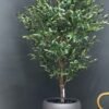 9702(1)jpg Elevate your interior with our gorgeous Artificial Olive Tree. Enjoy the charm of nature in your home or workspace all year round!