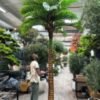 Transform your space with our stunning Artificial PALM TREE. Add natural artistry and tranquility effortlessly—shop now for yours!