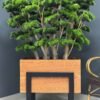 9840 Artificial Bonsai Tree