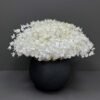 1020-39WH-ar33 Modern White Eucalyptus Arrangement