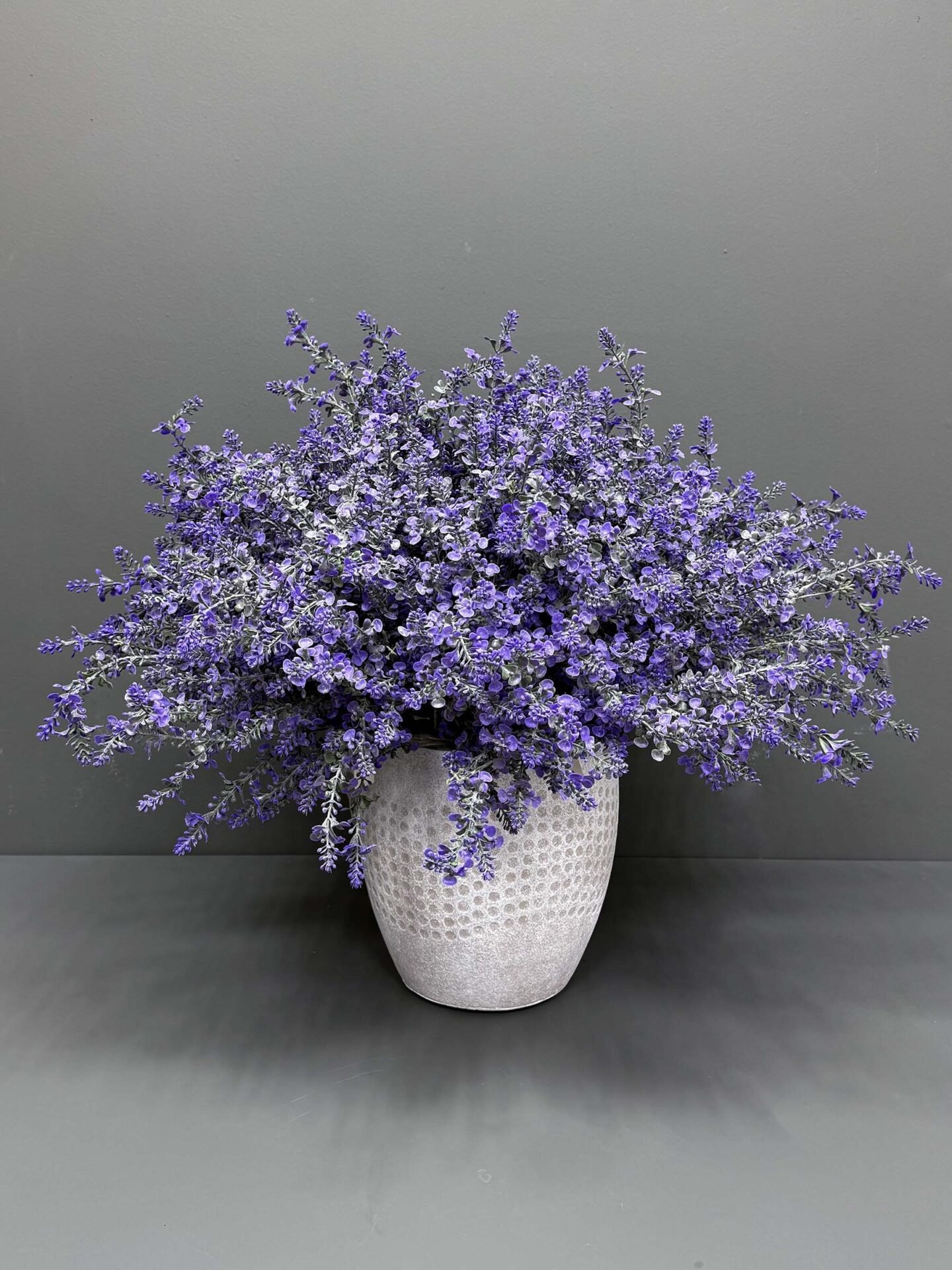 Lavender Heather Bush in Grey Pot