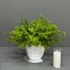 6686gr-ar54 Green Plant in Modern White Pot