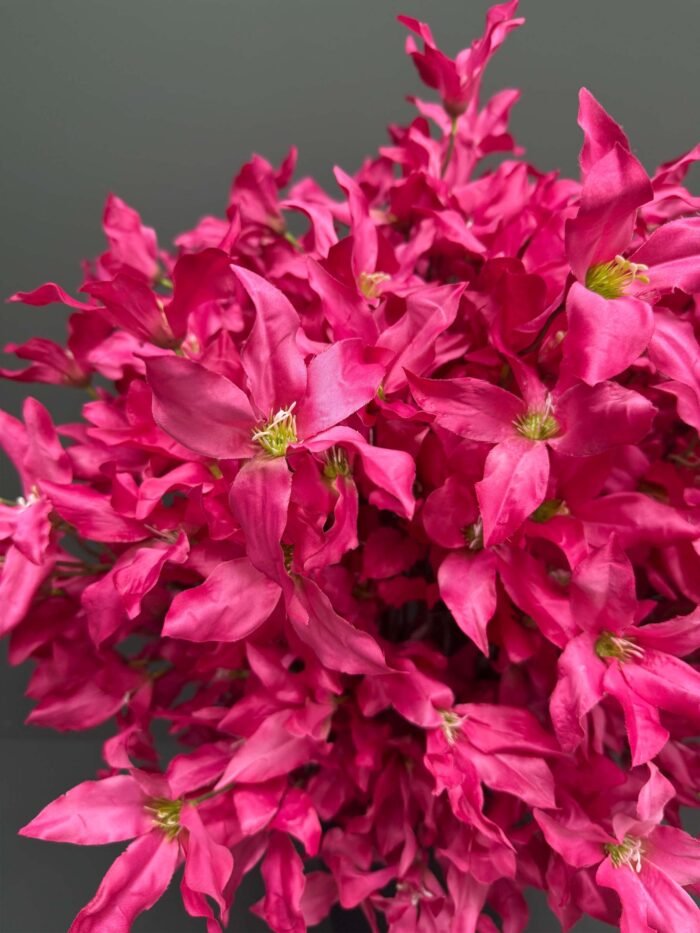 Bold Artificial Fuchsia Poinsettia in Matte Black Vase – Vivid Pink Blooms – AR39