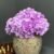 ARRANGEMENT HYDRANGEA 20