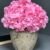 ARRANGEMENT HYDRANGEA 23