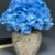 ARRANGEMENT HYDRANGEA 24