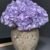 ARRANGEMENT HYDRANGEA 26