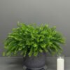 ar57 Transform your space with our Artificial Greenery Arrangement in Textured Grey Pot, featuring vibrant and lively shades of green. Enhance your decor today!