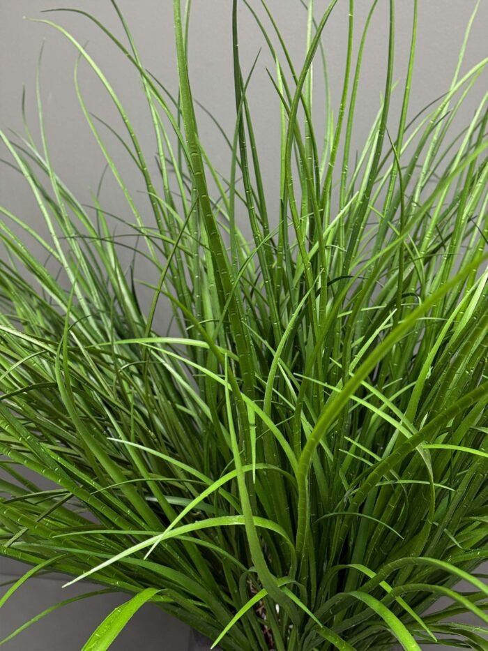 Artificial Green Grass Plant in Textured Grey Pot – Modern & Sleek – AR58