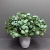 ar43-1 Soft Green Eucalyptus Arrangement