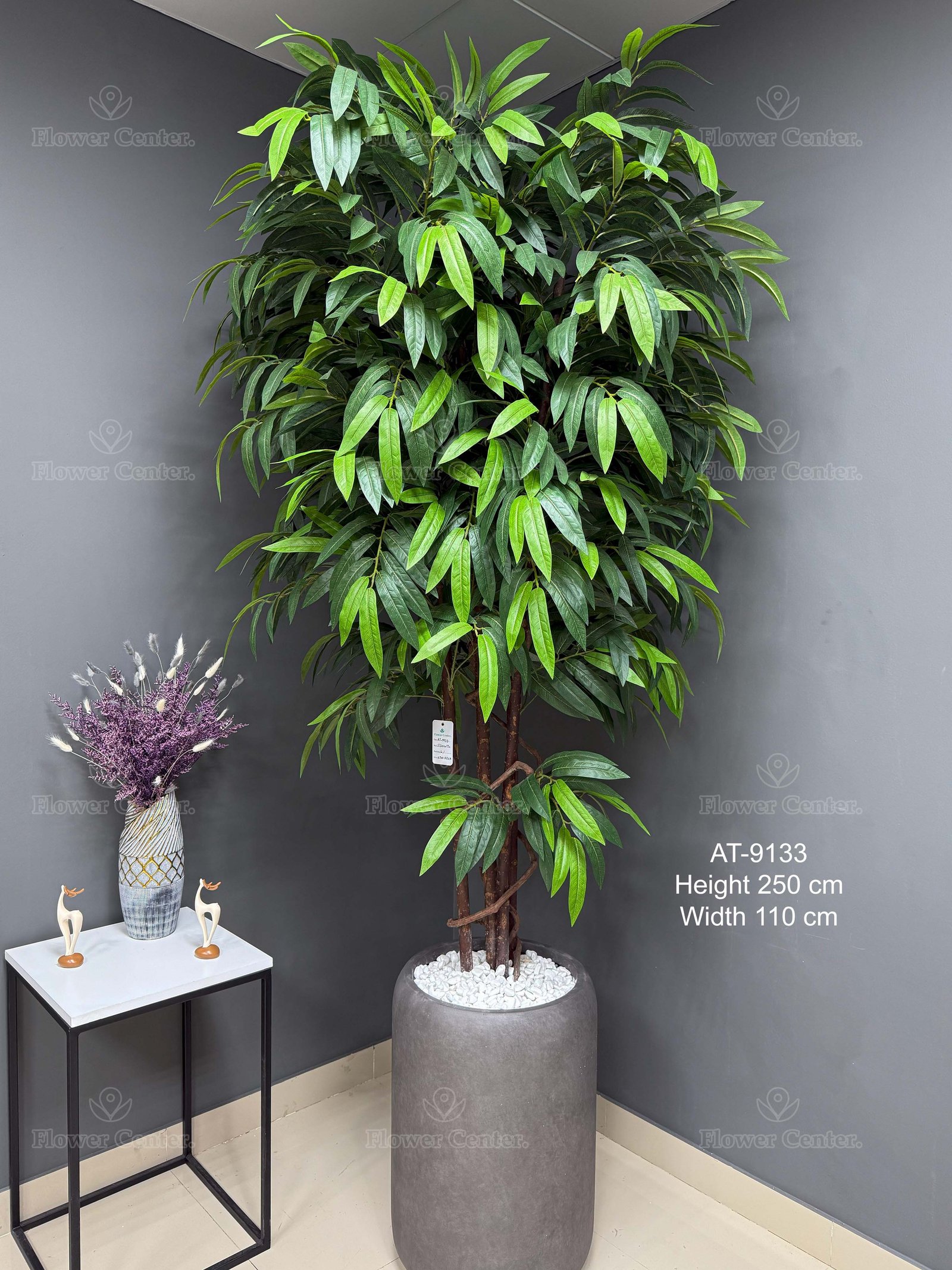 ficus-tree