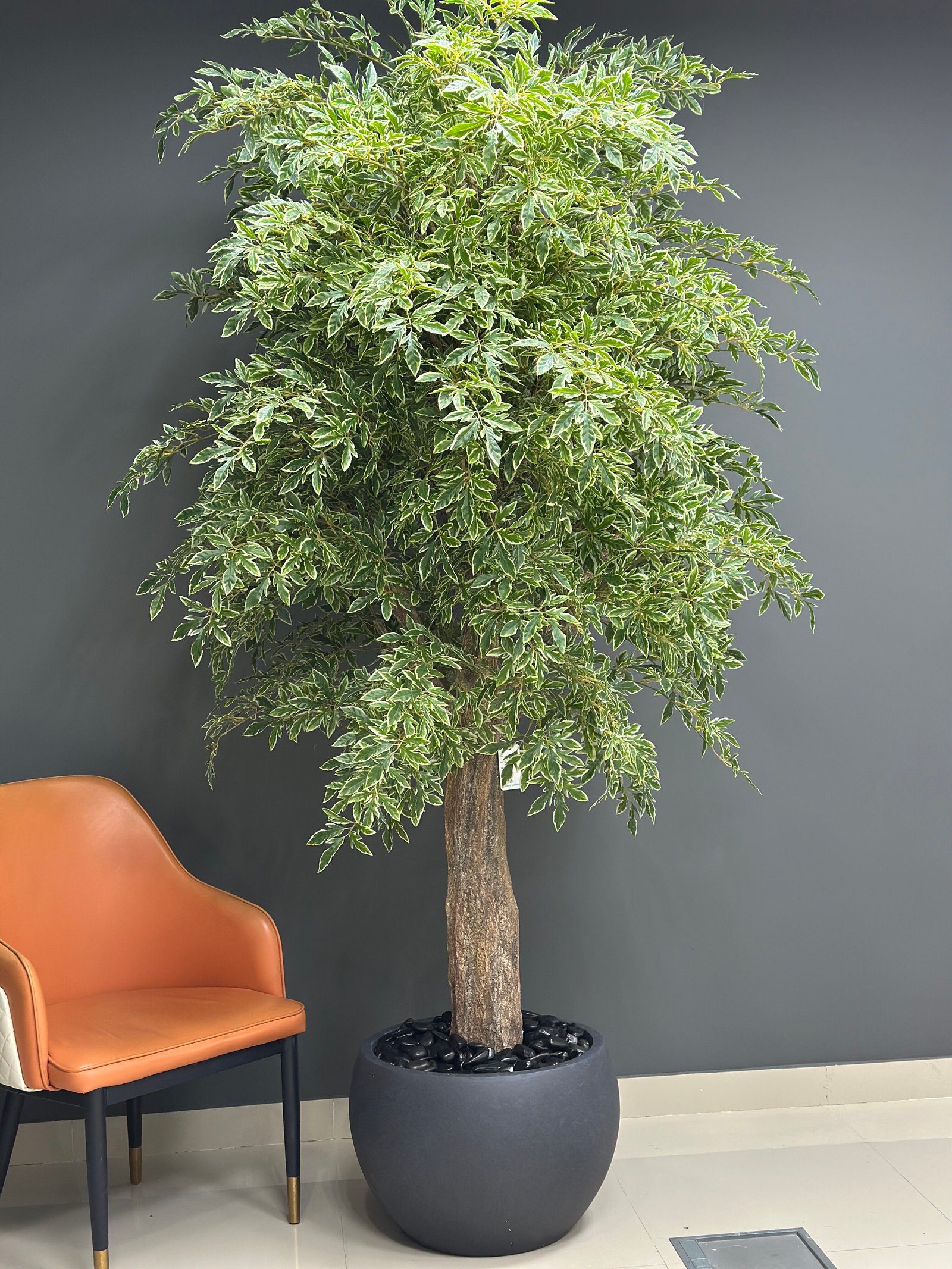Artificial Variegated Indoor Tree tall artificial variegated indoor tree 235 cm