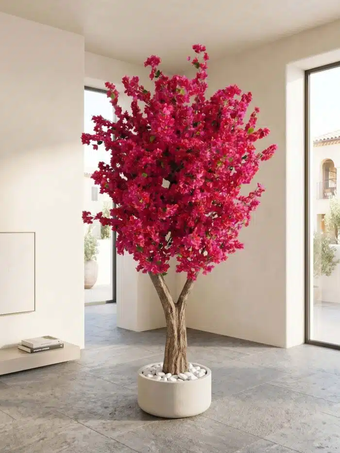 Bougainvillea – Tree 9441FU